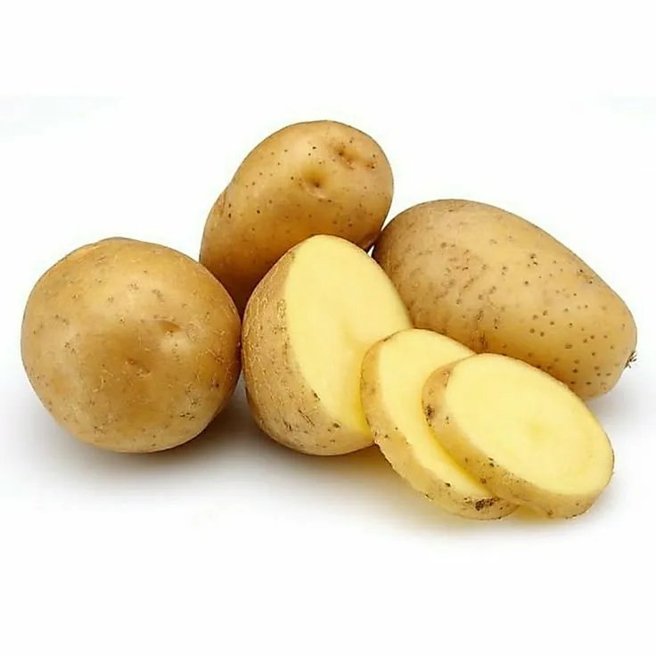 Kentang Kecil