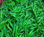 Cabe Caplak