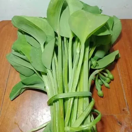 Genjer 1 gabung