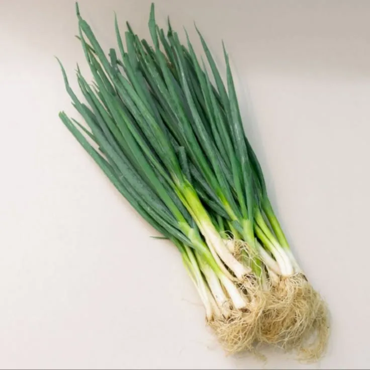 Daun Bawang