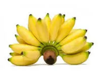 Pisang Moli