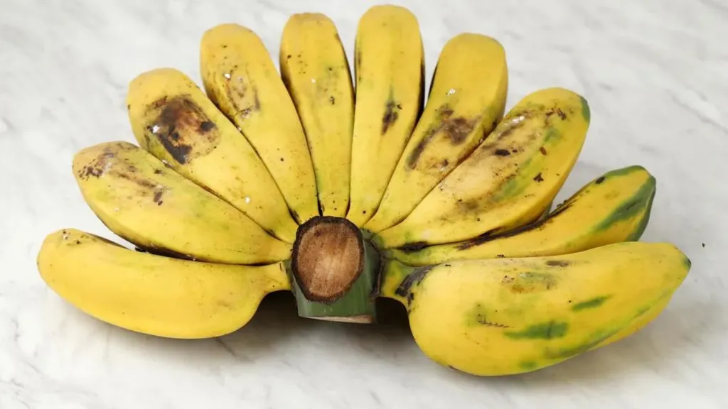 pisang pulo