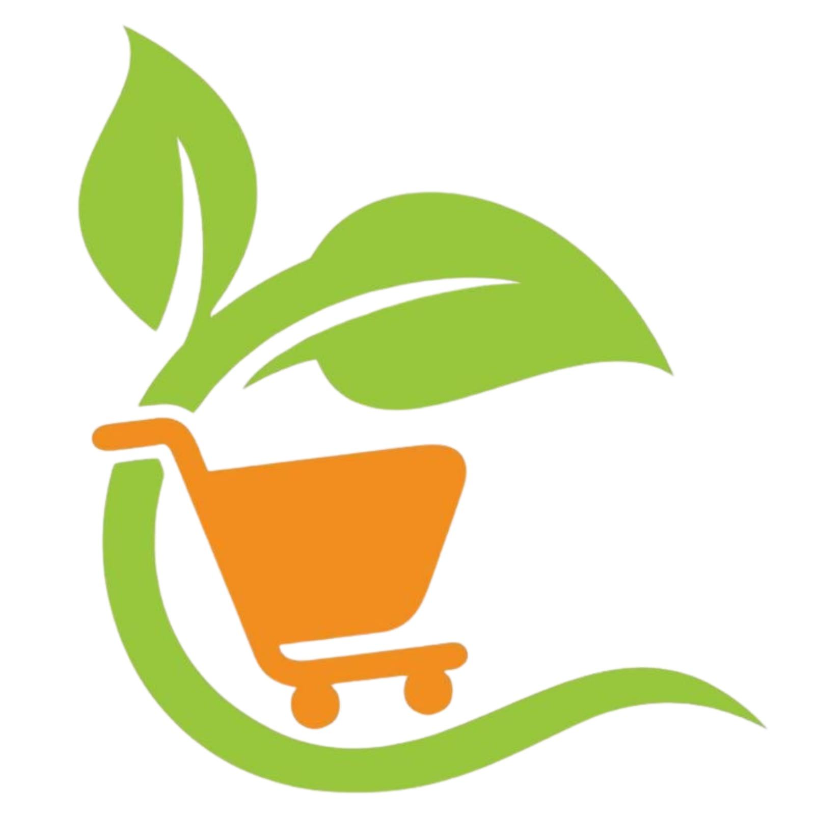 My Website